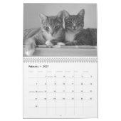 Katten 2024 Kalender (Feb 2027)