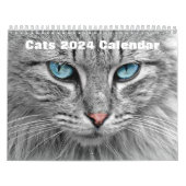 Katten 2024 kalender (Hoes)