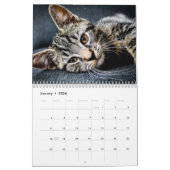 Katten 2024 kalender (Jan 2026)