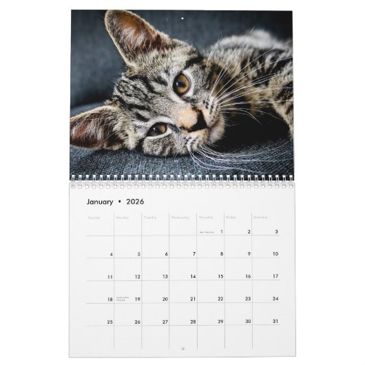 Katten 2024 kalender (Jan 2026)