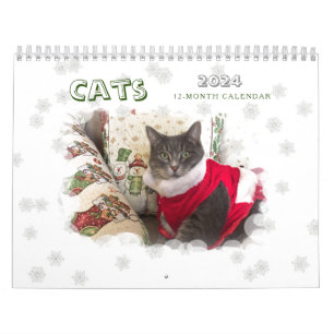 Katten 2024 Kalender