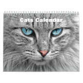 Katten 2025 kalender (Hoes)