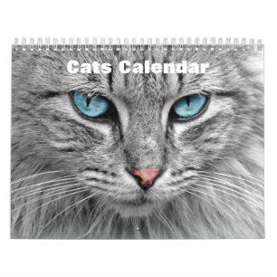 Katten 2025 kalender