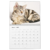 Katten 2025 kalender (Mar 2027)