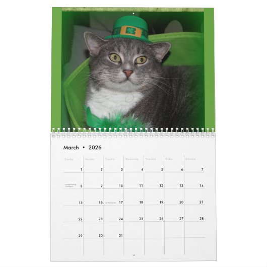 Katten 2025 Kalender (Mar 2026)