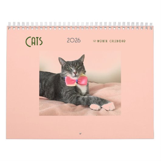 Katten 2025 Kalender (Hoes)