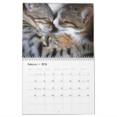 Katten 2026 Fotokalender Kalender (Feb 2026)