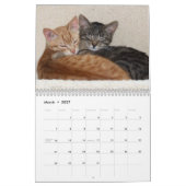 Katten 2026 Fotokalender Kalender (Mar 2027)