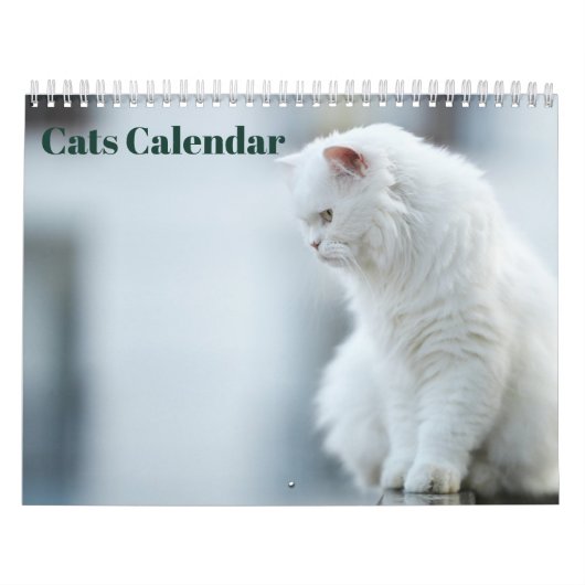 Katten 2027 kalender (Hoes)