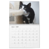 Katten 2027 kalender (Mar 2027)