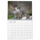 Katten 2027 kalender (Jan 2027)