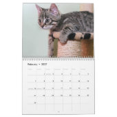 Katten 2027 kalender (Feb 2027)