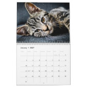 Katten 2027 kalender (Jan 2027)