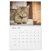 Katten 2027 kalender (Feb 2027)