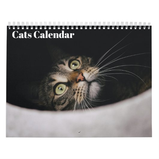 Katten 2027 Kalender (Hoes)