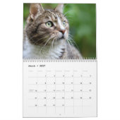 Katten 2027 Kalender (Mar 2027)