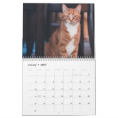 Katten 2027 Kalender (Jan 2027)
