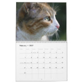 Katten 2027 Kalender (Feb 2027)