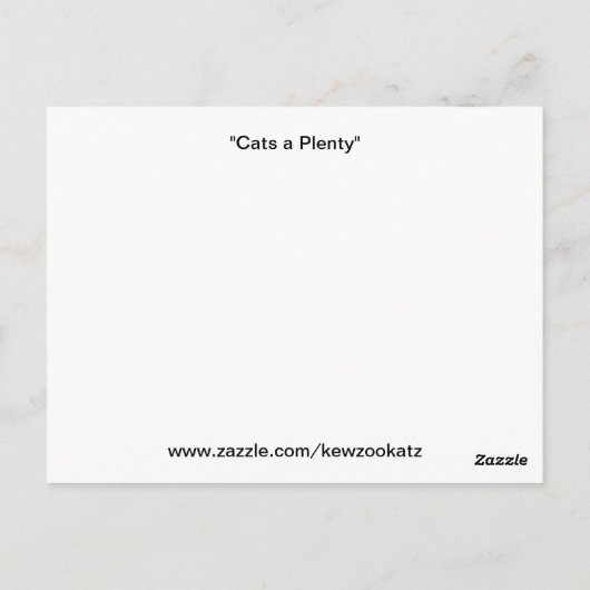 Katten a Plenty briefkaarten (Achterkant)