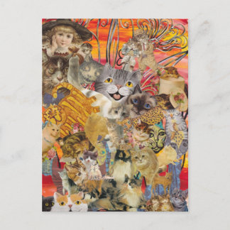 Katten a Plenty briefkaarten