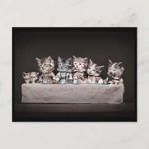 Katten aan de theetabel feestdagenkaart