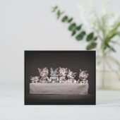 Katten aan de theetabel feestdagenkaart (Staand voorkant)