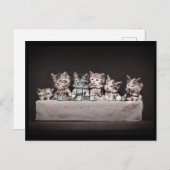 Katten aan de theetabel feestdagenkaart (Voorkant / Achterkant)