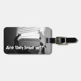 Katten - Abbie en Mo die uit het Label van de Draa Bagagelabel