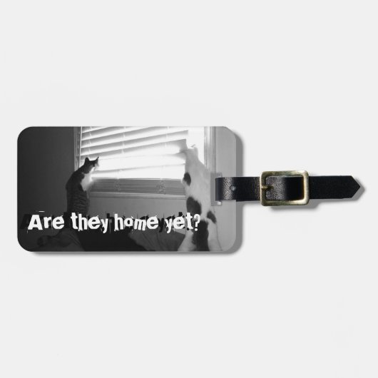 Katten - Abbie en Mo die uit het Label van de Draa Bagagelabel (Voorkant horizontaal)