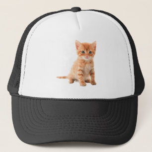 katten-afbeeldingen-download-afbeelding gedrukte p trucker pet