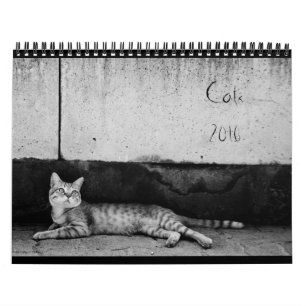 Katten - Agenda 2016 Kalender