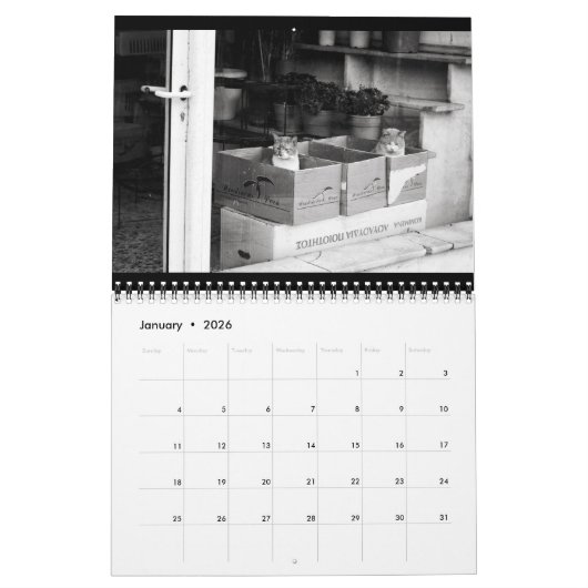 Katten - Agenda 2016 Kalender (Jan 2026)