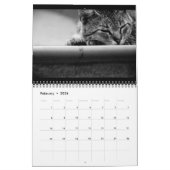 Katten - Agenda 2016 Kalender (Feb 2026)
