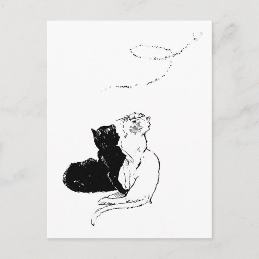 Katten, Alexandre Steinlen Briefkaart (Voorkant)