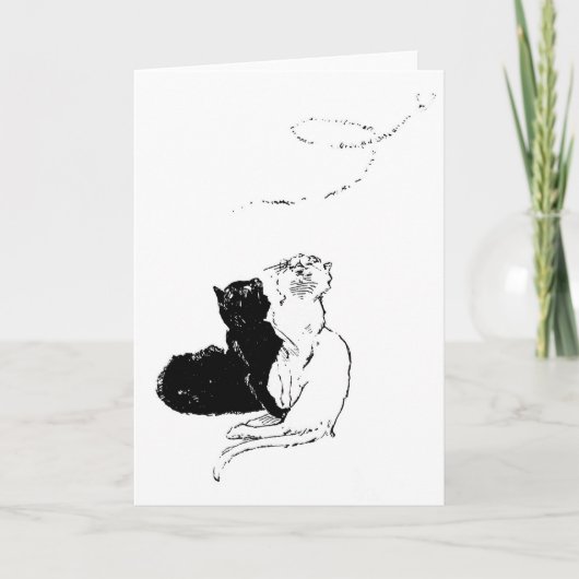 Katten, Alexandre Steinlen Kaart (Voorkant)