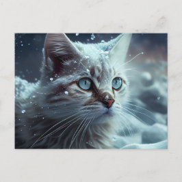 Katten Ansichtkaarten Divers Briefkaart