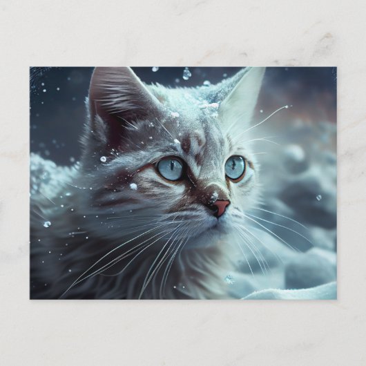 Katten Ansichtkaarten Divers Briefkaart (Voorkant)