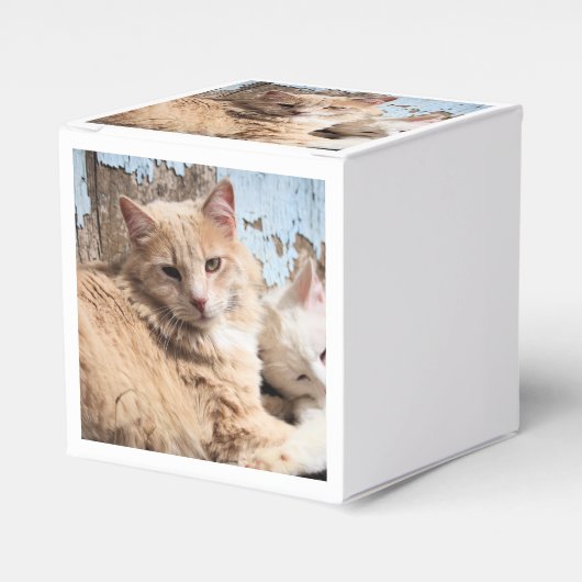 Katten Bedankdoosjes (Voorkant Zijde)