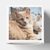 Katten Bedankdoosjes (Bovenkant)