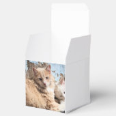 Katten Bedankdoosjes (Geopend)