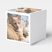 Katten Bedankdoosjes (Achterkant)