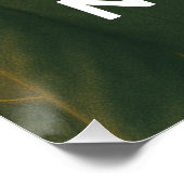 Katten betalen geen belastingen: de katachtige maa perfect poster (Hoek)