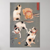 Katten bij Play-Poster Poster (Voorkant)