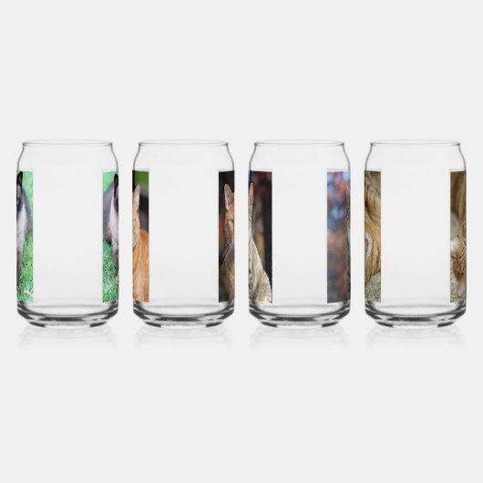 Katten Blikvorm Glas (Rechts)