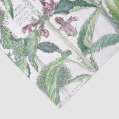  katten Bloembloem Vloeiend wild Weefpapier Tissuepapier (Detail)