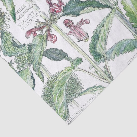  katten Bloembloem Vloeiend wild Weefpapier Tissuepapier (Detail)