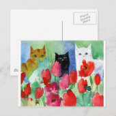  katten briefkaart (Voorkant / Achterkant)