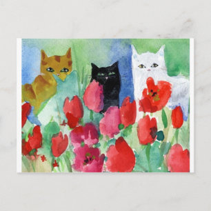  katten briefkaart