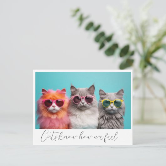 Katten Briefkaart (Staand voorkant)