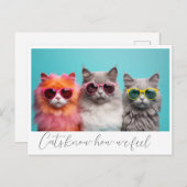 Katten Briefkaart (Voorkant / Achterkant)